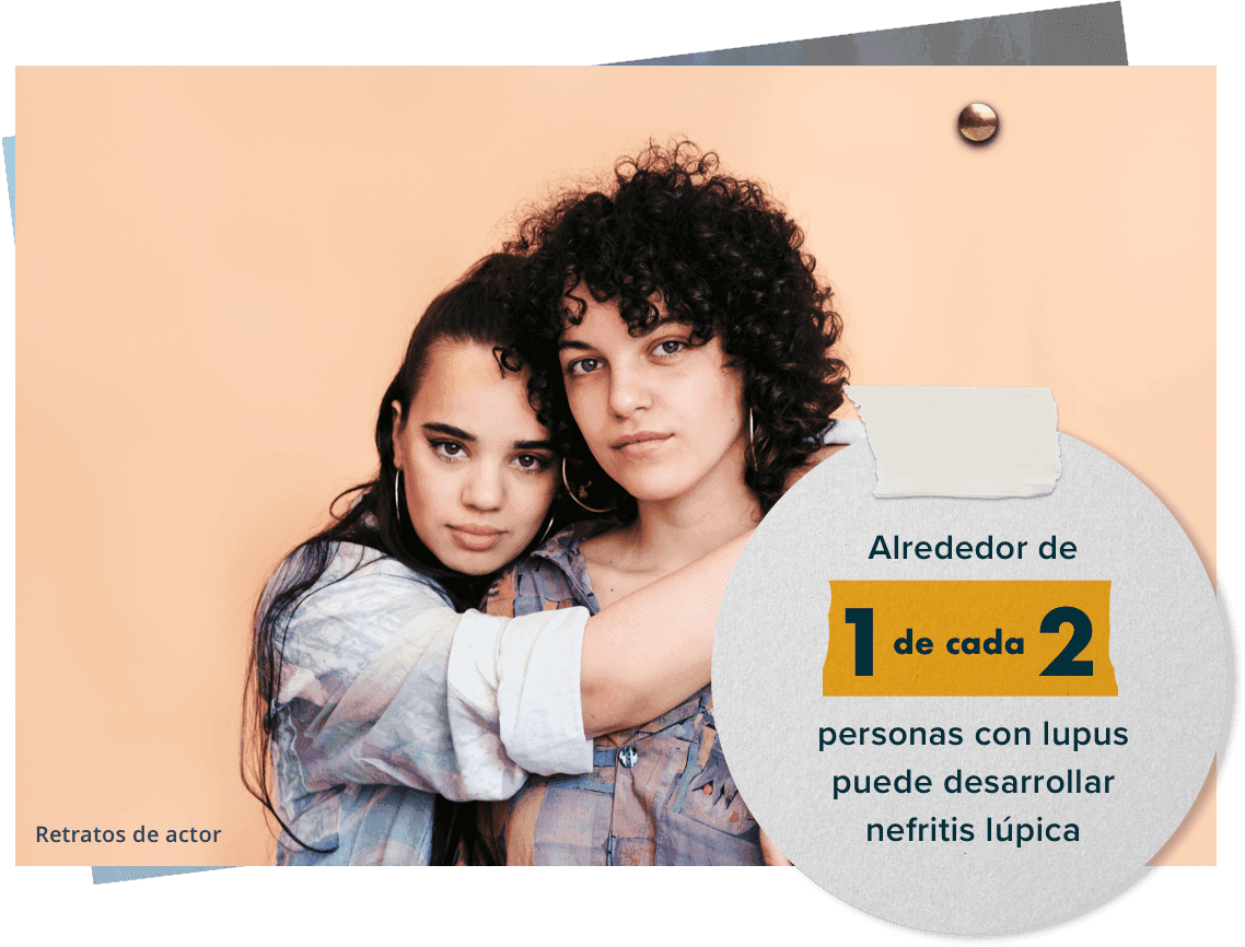 Alrededor de 1 de cada 2 personas con lupus puede desarrollar nefritis lúpica